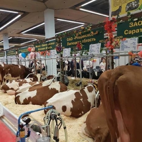 Landwirtschaftsmesse Russland