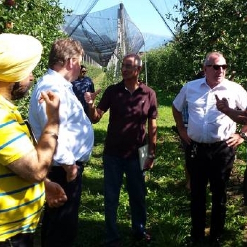 Apfelerträge in Südtirol steigern